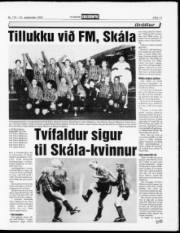 Síða 13