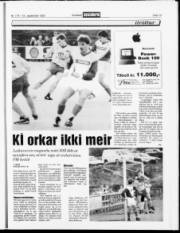 Síða 15