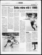 Síða 17