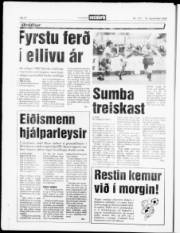 Síða 20