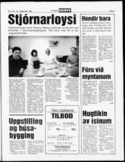 Síða 3