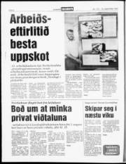 Síða 6