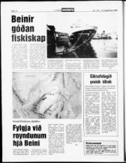Síða 12