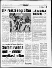 Síða 13