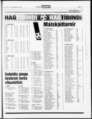 Síða 15