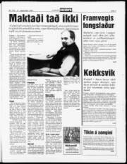 Síða 3