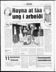 Síða 6