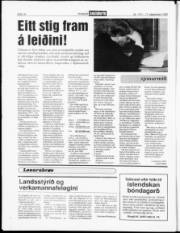 Síða 18