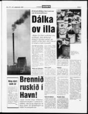 Síða 3