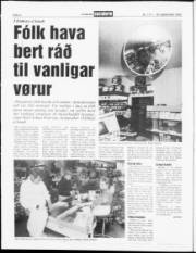 Síða 4