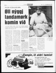 Síða 6