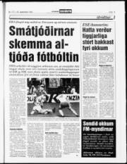 Síða 19