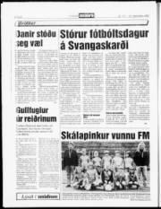 Síða 20