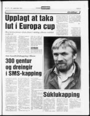 Síða 21