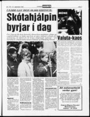 Síða 3