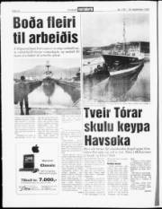 Síða 10