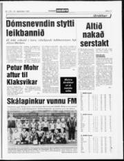 Síða 17