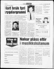 Síða 20
