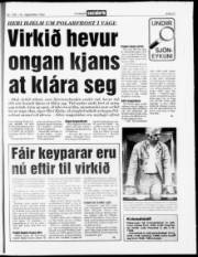 Síða 21