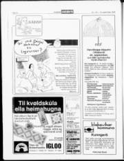 Síða 24