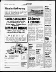 Síða 3