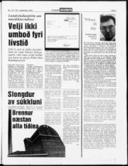 Síða 7