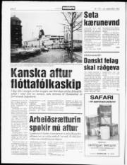 Síða 8