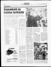 Síða 12