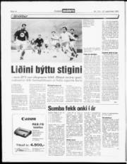 Síða 14