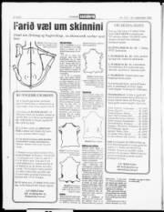 Síða 20