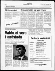Síða 22