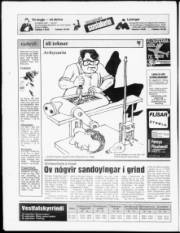 Síða 24