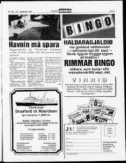 Síða 3