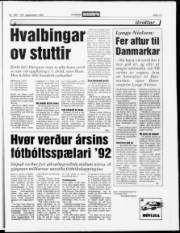 Síða 13