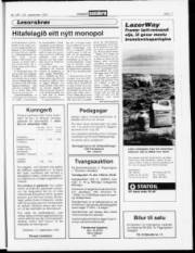 Síða 17