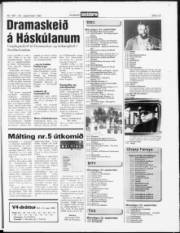 Síða 19