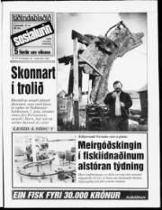 Síða 1