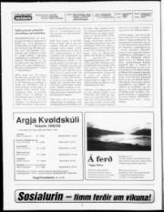 Síða 2