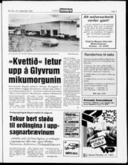 Síða 5