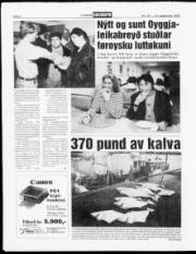 Síða 8