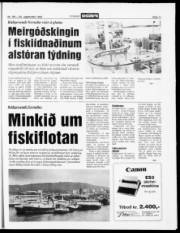 Síða 11