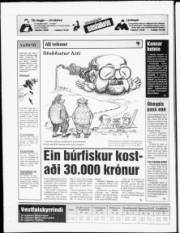 Síða 16