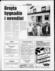 Síða 5