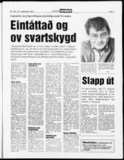 Síða 7