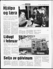 Síða 8