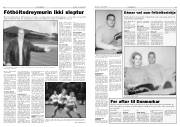 Síða 12