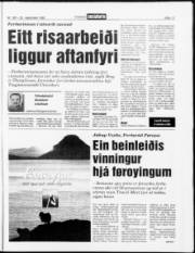 Síða 13