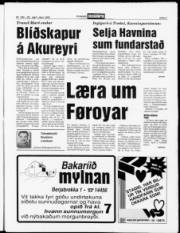 Síða 3