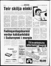 Síða 6