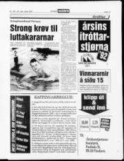 Síða 13